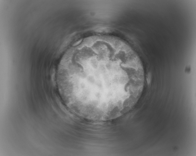 X0000113141396200910161145