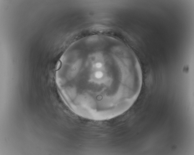 X0000113141397200910161145