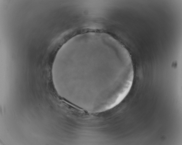 X0000113141398200910161145
