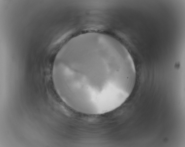 X0000113141399200910161145