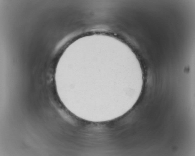 X0000113141400200910161145