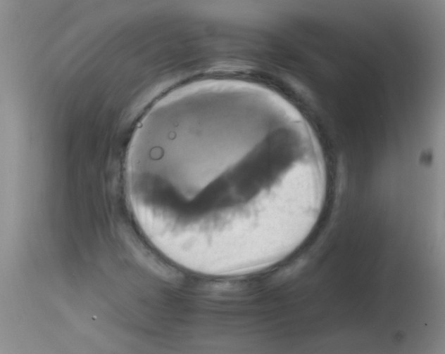 X0000113141401200910161145
