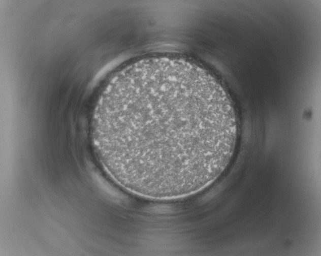 X0000113141402200910161145