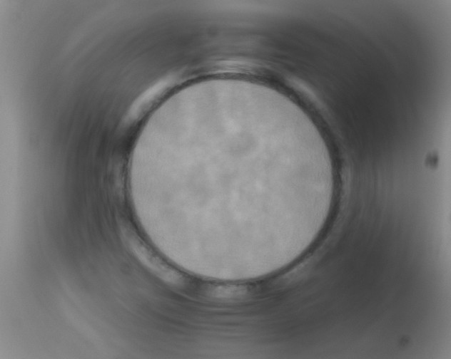 X0000113141403200910161145