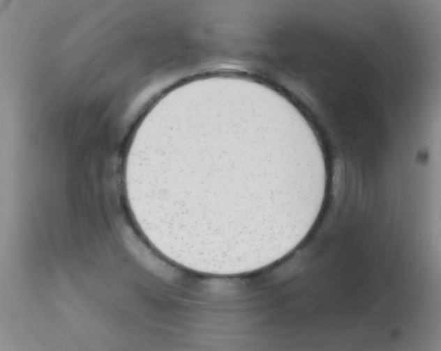 X0000113141404200910161145