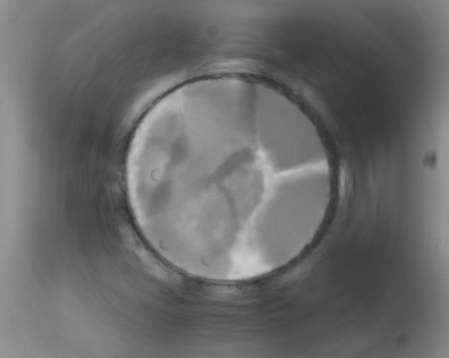 X0000113141405200910161145