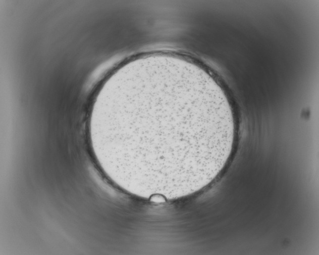 X0000113141406200910161145