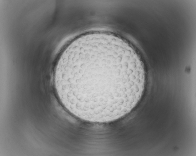 X0000113141408200910161145
