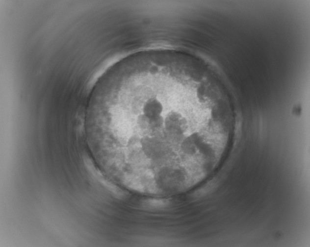 X0000113141409200910161145