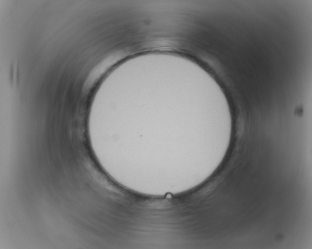 X0000113141410200910161145