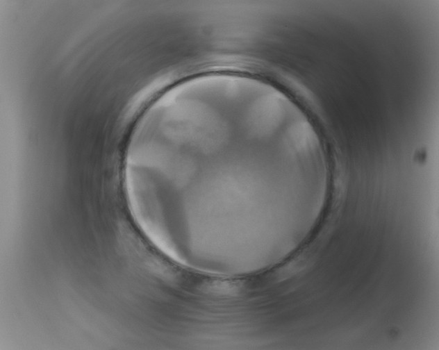 X0000113141411200910161145