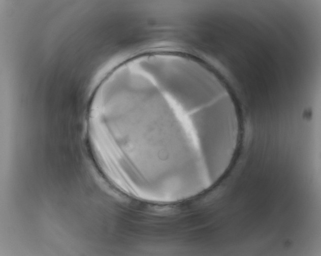 X0000113141413200910161145