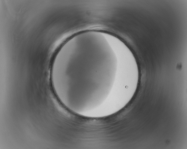 X0000113141414200910161145