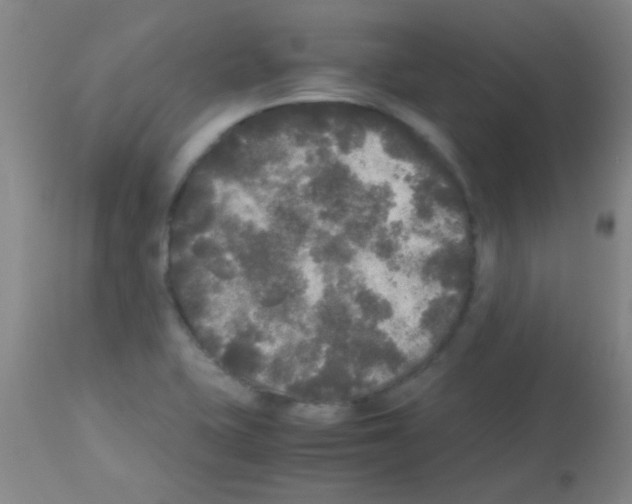X0000113141415200910161145