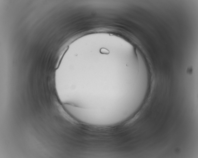 X0000113141417200910161145