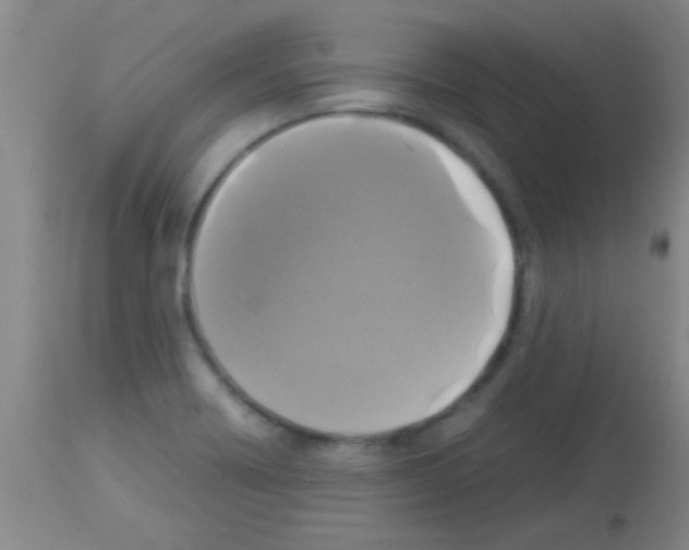 X0000113141418200910161145