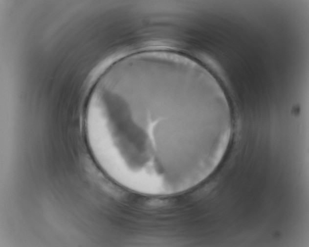 X0000113141419200910161145
