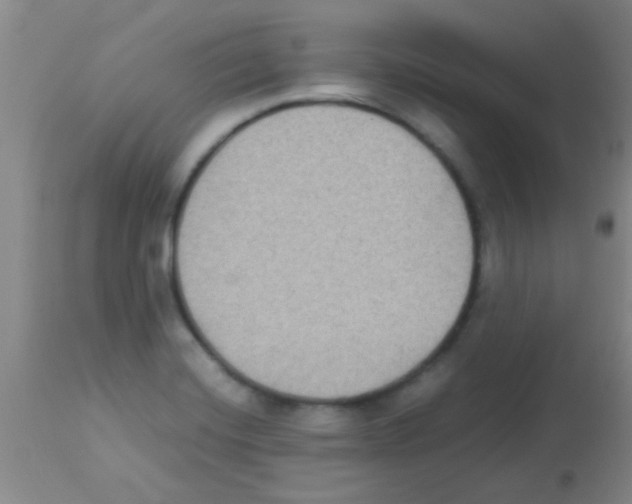 X0000113141420200910161145