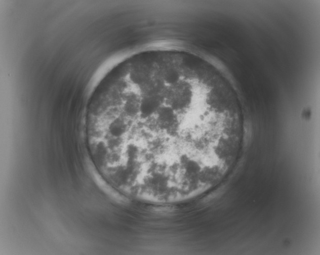 X0000113141421200910161145