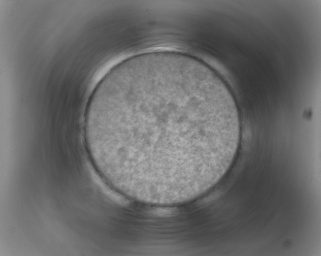 X0000113141423200910161145