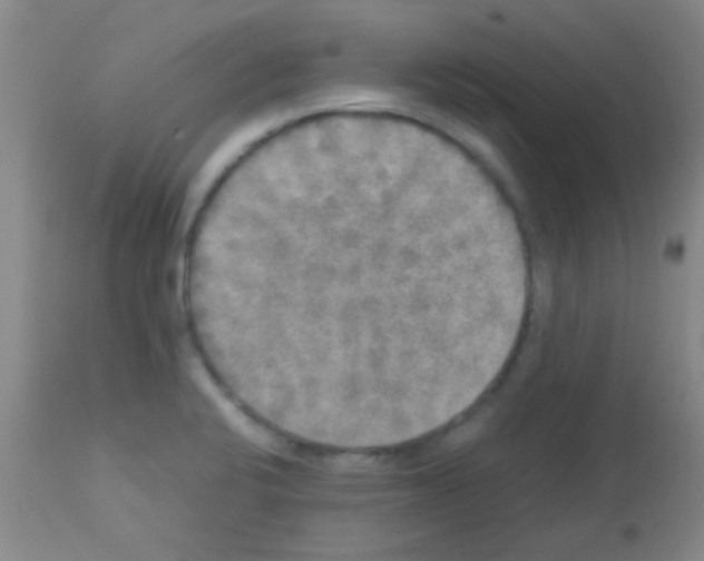 X0000113141424200910161145