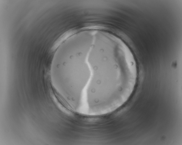 X0000113141425200910161145