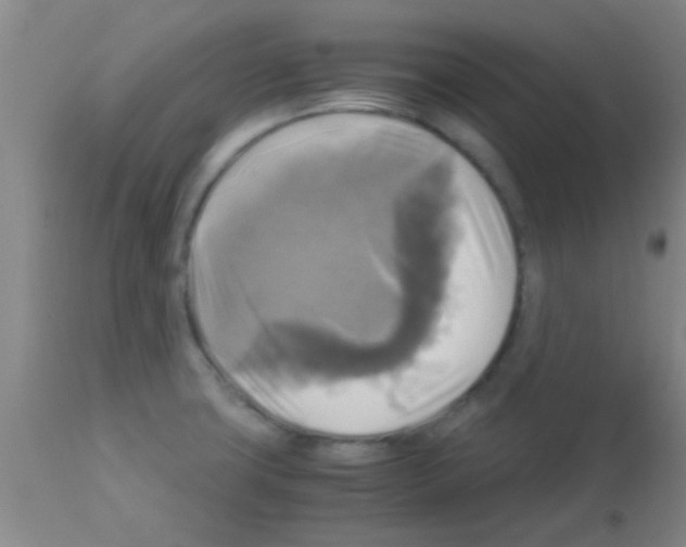 X0000113141427200910161145