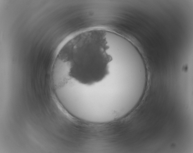 X0000113141428200910161145