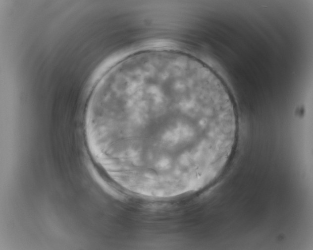X0000113141429200910161145