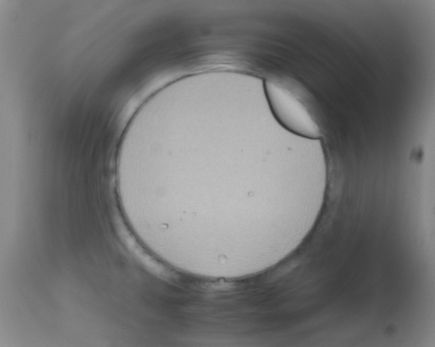 X0000113141431200910161145