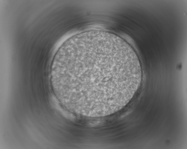 X0000113141435200910161146