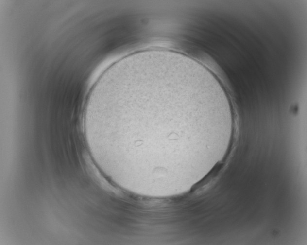 X0000113141436200910161146