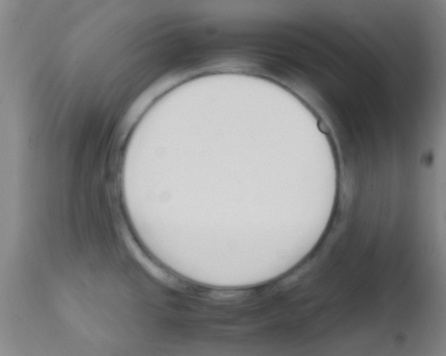 X0000113141437200910161146