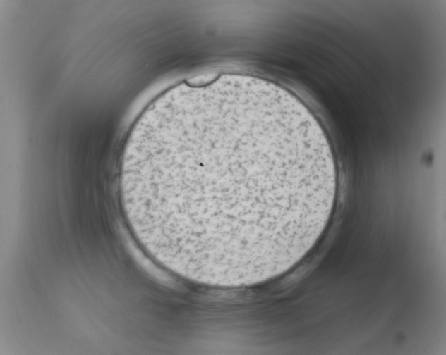 X0000113141438200910161146