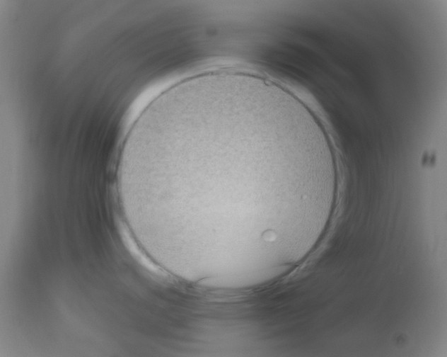 X0000113141440200910161146