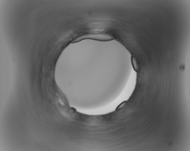 X0000113141441200910161145