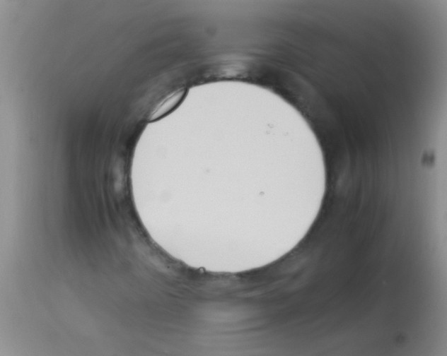 X0000113141442200910161145