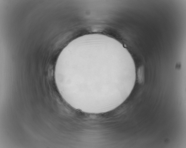 X0000113141443200910161145