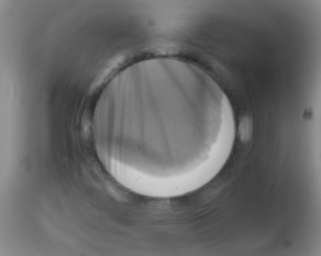 X0000113141444200910161145