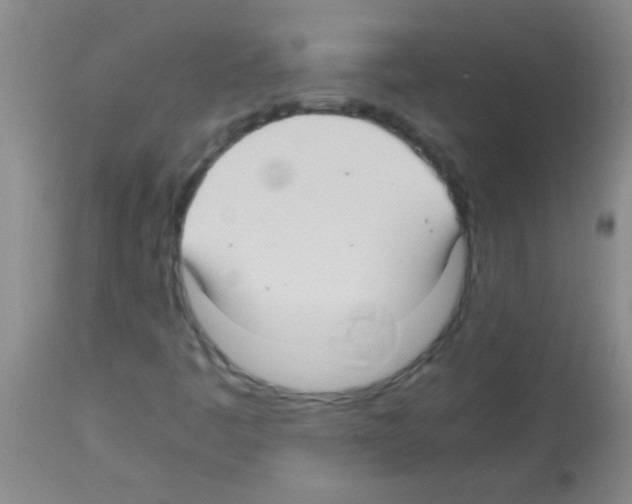 X0000113141445200910161145