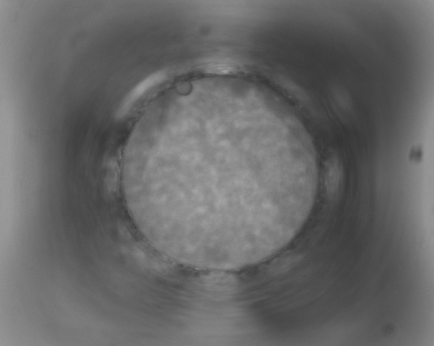 X0000113141446200910161145