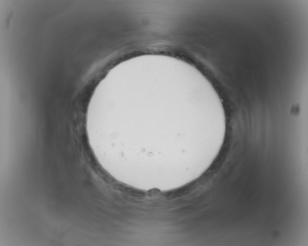 X0000113141447200910161145