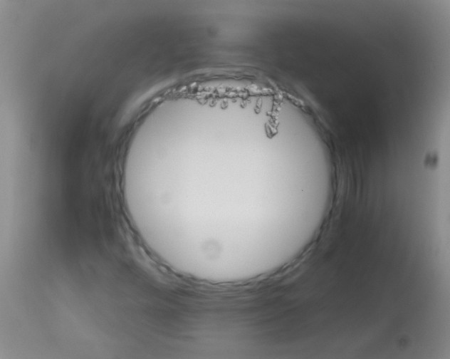 X0000113141448200910161145