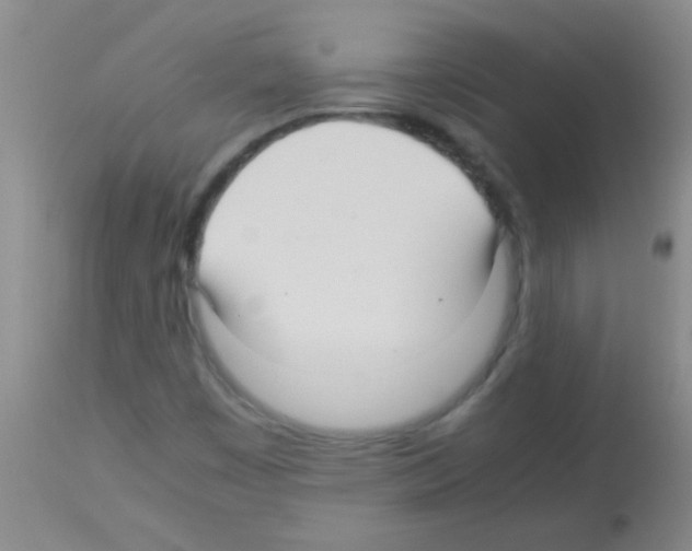 X0000113141449200910161145