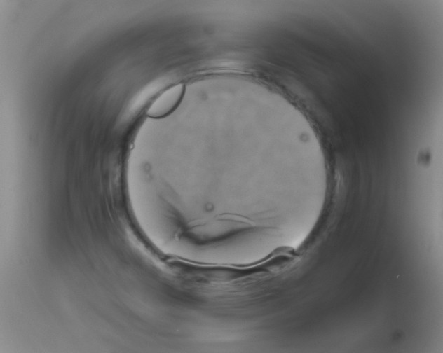 X0000113141450200910161145