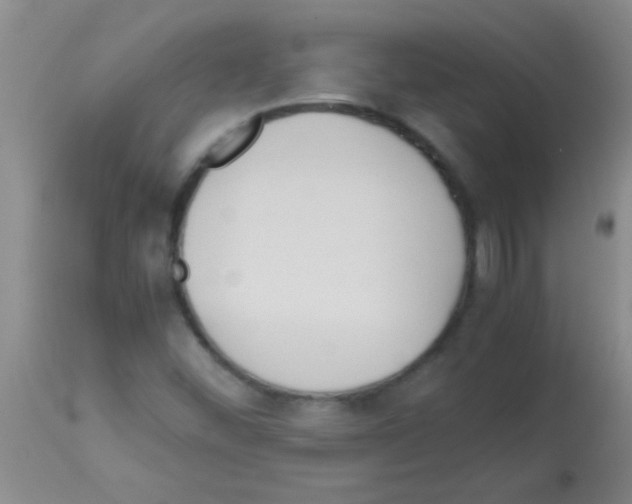 X0000113141452200910161145