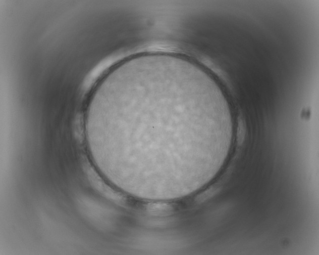 X0000113141454200910161145