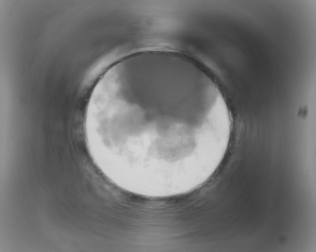 X0000113141455200910161145