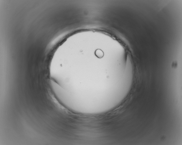 X0000113141456200910161145