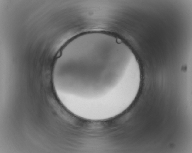 X0000113141457200910161144